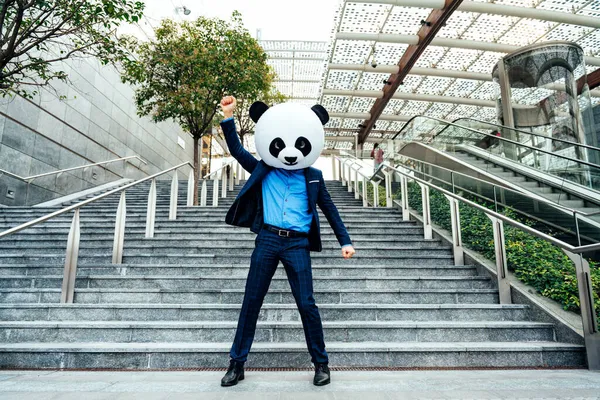Imagem Contadora Histórias Homem Negócios Usando Uma Cabeça Panda Gigante — Fotografia de Stock