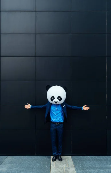 Mendongeng Gambar Seorang Pria Bisnis Mengenakan Kepala Panda Raksasa — Stok Foto