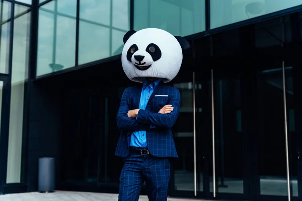 Immagine Narrativa Uomo Affari Che Indossa Una Testa Panda Gigante — Foto Stock