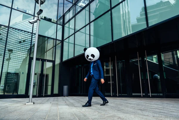 Dev Bir Panda Kafası Takan Bir Adamı Görüntüsü — Stok fotoğraf