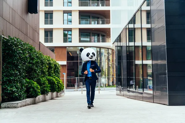 Immagine Narrativa Uomo Affari Che Indossa Una Testa Panda Gigante — Foto Stock