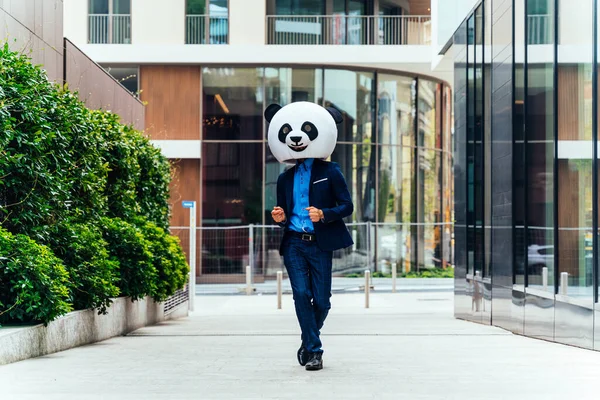 Immagine Narrativa Uomo Affari Che Indossa Una Testa Panda Gigante — Foto Stock