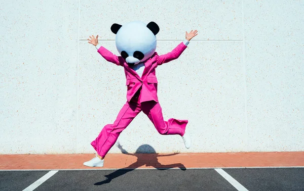 Dev Panda Kafalı Renkli Takım Elbiseli Bir Çiftin Hikaye Anlatımı — Stok fotoğraf