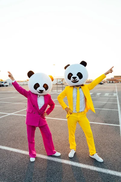 Image Narrative Couple Portant Une Tête Panda Géant Des Costumes — Photo