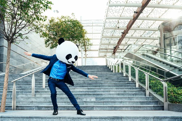 Historieberättande Bild Affärsman Klädd Ett Gigantiskt Pandahuvud — Stockfoto