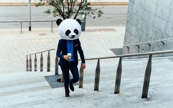 Imagine Povestitoare Unui Afaceri Purtând Cap Gigantic Panda — Fotografie, imagine de stoc