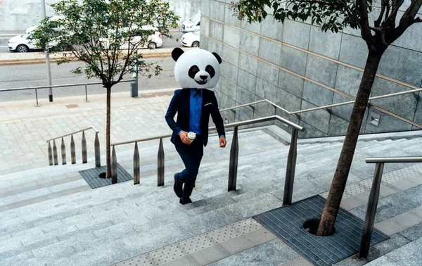 Storytelling Bild Eines Geschäftsmannes Mit Einem Riesigen Panda Kopf — Stockfoto
