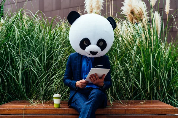 Mesemondó Kép Egy Üzletemberről Aki Hatalmas Pandafejet Visel — Stock Fotó