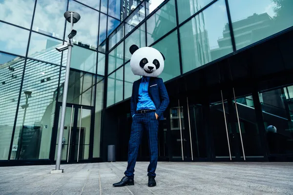 Image Narrative Homme Affaires Portant Une Tête Panda Géant — Photo