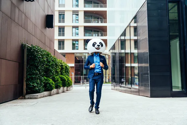 Imagine Povestitoare Unui Afaceri Purtând Cap Gigantic Panda — Fotografie, imagine de stoc