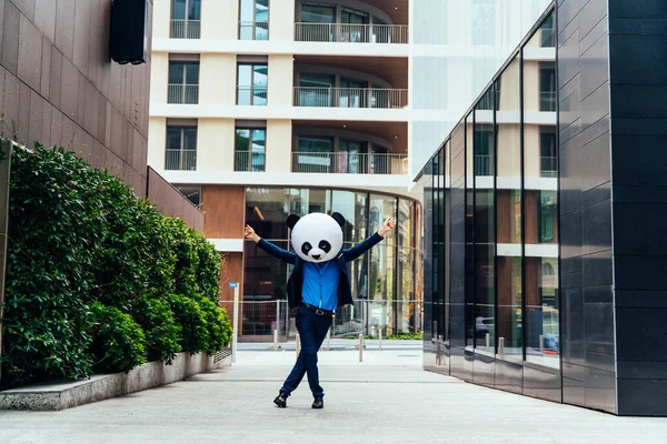 Dev Bir Panda Kafası Takan Bir Adamı Görüntüsü — Stok fotoğraf