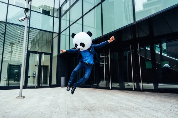 Imagem Contadora Histórias Homem Negócios Usando Uma Cabeça Panda Gigante — Fotografia de Stock