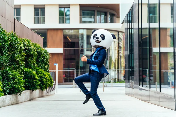 Imagine Povestitoare Unui Afaceri Purtând Cap Gigantic Panda — Fotografie, imagine de stoc