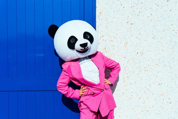 Imagine Povestitoare Unui Cuplu Purtând Cap Panda Gigant Costume Colorate — Fotografie, imagine de stoc