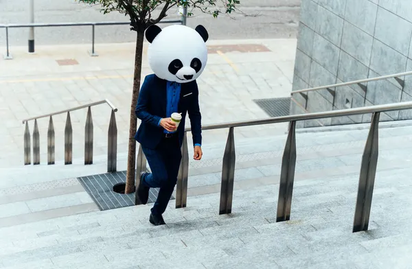 Image Narrative Homme Affaires Portant Une Tête Panda Géant — Photo