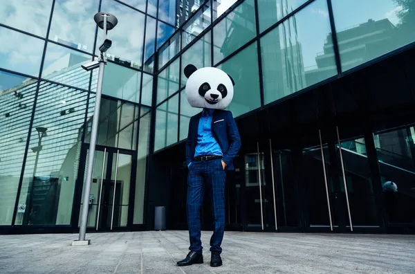Storytelling Image Business Man Wearing Giant Panda Head — Stock Photo, Image