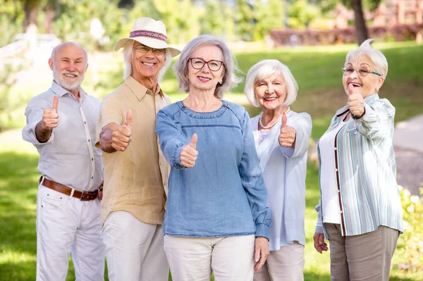 Group Happy Elderly People Bonding Outdoors Park Old People Age — Stock Photo, Image