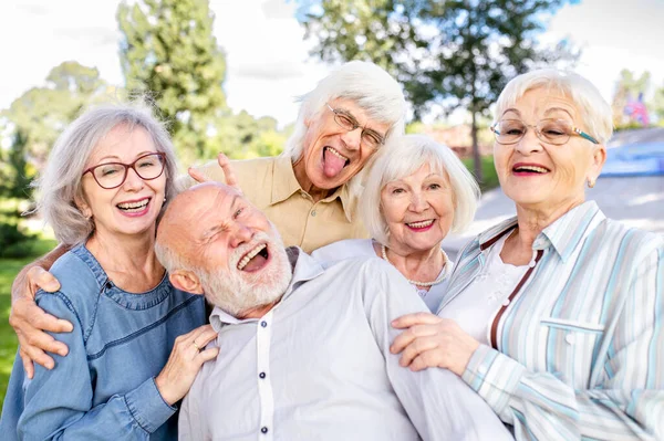 Skupina Spokojených Seniorů Kteří Potkávají Venku Parku Staří Lidé Věku — Stock fotografie