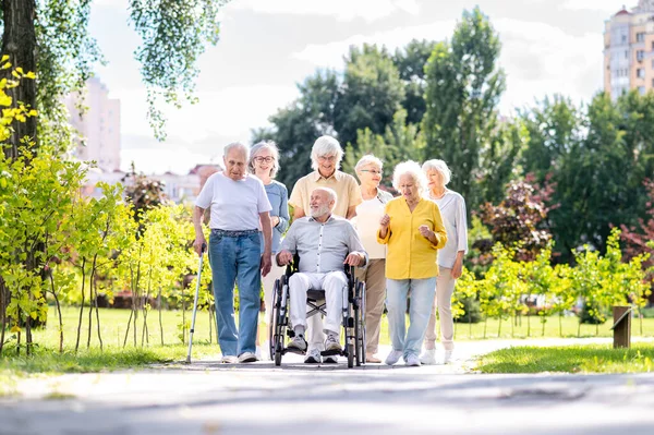 Grupa Szczęśliwych Osób Starszych Nawiązujących Więzi Świeżym Powietrzu Parku Osoby — Zdjęcie stockowe