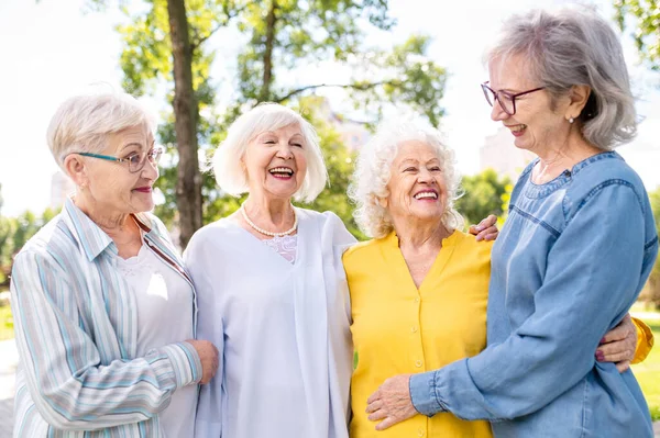 Gruppo Anziani Felici Che Legano All Aperto Parco Anziani Anni — Foto Stock