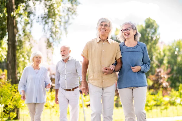 Grupo Personas Mayores Felices Que Unen Aire Libre Parque Personas — Foto de Stock