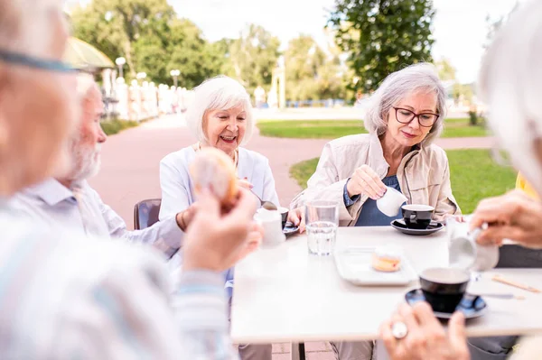 Gruppe Glücklicher Senioren Trifft Sich Freien Der Cafeteria Der Bar — Stockfoto