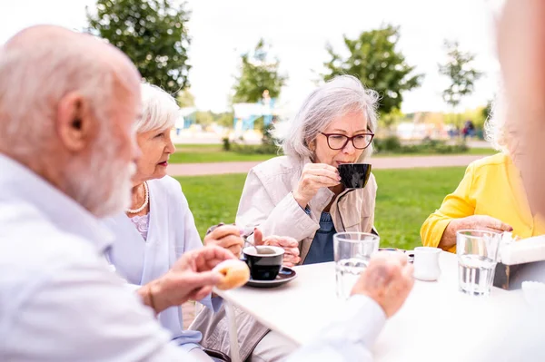 노인들이 즐겁게 시간을 보내고 건강해 개념을 가지고 — 스톡 사진