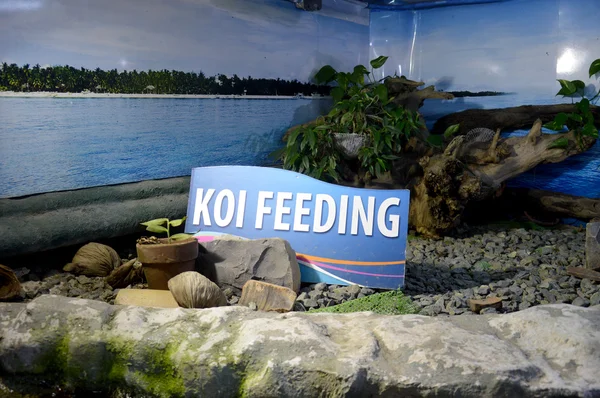 Panneau d'alimentation Koi dans un parc aquatique public — Photo