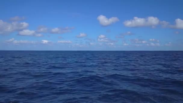Segling vid havet i Kroatien. Segelbåt i blåsiga förhållanden cruising klart blått havsvatten. Stor vit Yacht med dragna segel duk. Låg vinkel havsnivå syn på små yacht båt segling i — Stockvideo