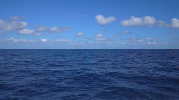 Navegación en barco por el mar de Croacia. Velero en condiciones ventosas navegando aguas cristalinas del océano azul. Gran yate blanco con velas dibujadas lienzo. Vista de bajo ángulo del nivel del mar de pequeño yate de vela en — Vídeos de Stock