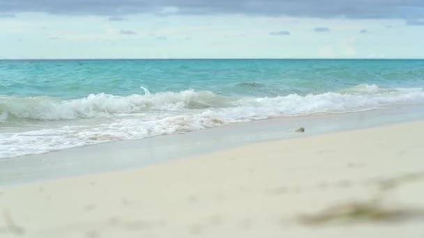 Karaibska plaża. Słoneczna tropikalna plaża. Gorące popołudnie na pustej plaży. Najlepsze plaże na świecie. Plaże Dominikany. Spokojnie.. — Wideo stockowe