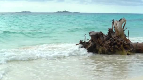 Maldivas Desabitadas Ilha Tropical, Palmeiras, Céu e cena calma. Estilo de vida. Muitas ilhas na horizontal. Ondas lava praia. Relaxa. Conceito de férias e férias — Vídeo de Stock