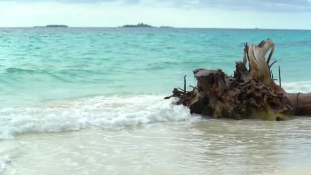 Lakatlan Maldív-szigetek Trópusi sziget, pálmafák, Ég és nyugodt jelenet. Életstílus. Sok sziget van vízszintesen. A hullámok mossák a partot. Pihenj. Nyaralás és nyaralás koncepció