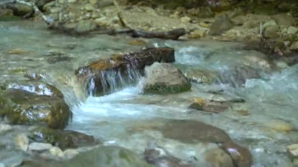 Insenatura della montagna con acqua cristallina della montagna, luce solare che riflette nell'acqua, primo piano con un ramo verde di un albero deciduo fuori fuoco, con il suono dell'acqua che scorre veloce — Video Stock