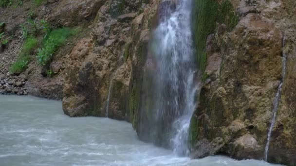 Dağ nehri yağmur ormanlarında akıyor. Bitmek bilmeyen meditasyon videoları, tropikal egzotik orman ormanlarında akış. Ormanın derinliklerindeki dereler taşların arasında akıyor. Şelale şelaleleri, yeşillikler ve ağaçlar. Kusursuz döngü — Stok video