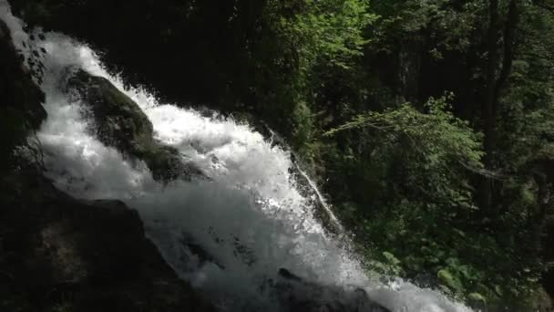 Cascata nella foresta verde in estate. Tropicale nella giungla di montagna. Cascata nella foresta tropicale. Grande cascata in 4k — Video Stock