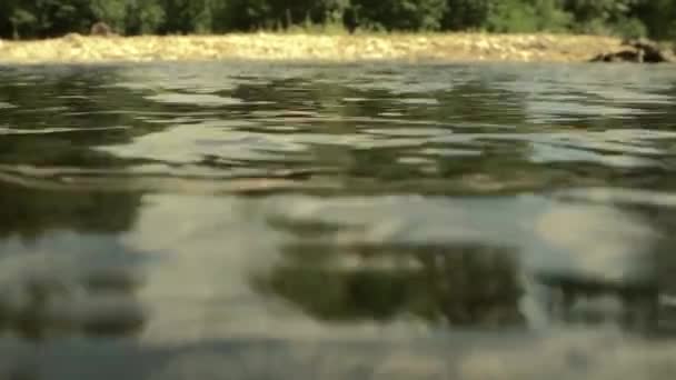 Calme bleu d'un lac. Angle bas. Forrest river. Nature. — Video