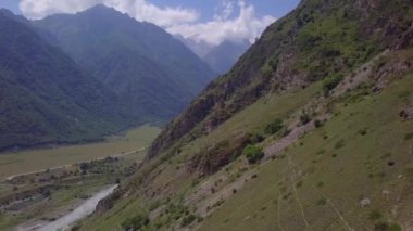Dağ 'daki çam ağacı ormanı üzerinde hava aracı görüntüsü. Nehir