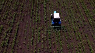 Kırmızı bir traktörün üzerinde tozlu çorak toprağı süren bir çiftçinin ön görüntüsü. Çiftlik arabası aç kuşlar tarafından takip edilir. Baharda tarım işi