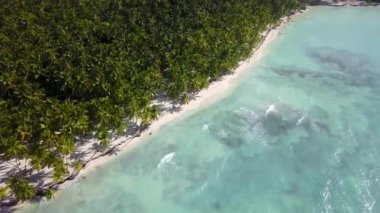 Tropik ada. Beyaz Hawaii kumsalında deniz dalgaları pürüzsüz bir döngü oluşturuyor. Tropikal doğal kumlu bir plajda yürü. Palmiye ağaçları, blu deniz ve temiz kum manzarası. Cennet plajı