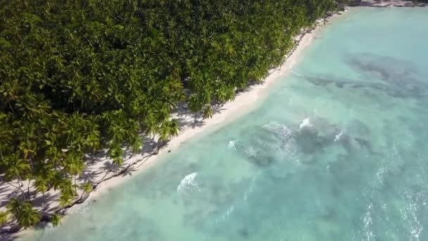 열 대 지방의 섬. 하와이안의 하얀 모래사장에서는 파도가 원활하게 순환하고 있습니다. 열 대의 천연 모래사장을 걷는다. 야자나무, 푸른 바 다, 맑은 모래 풍경. 파라다이스 해변 — 비디오