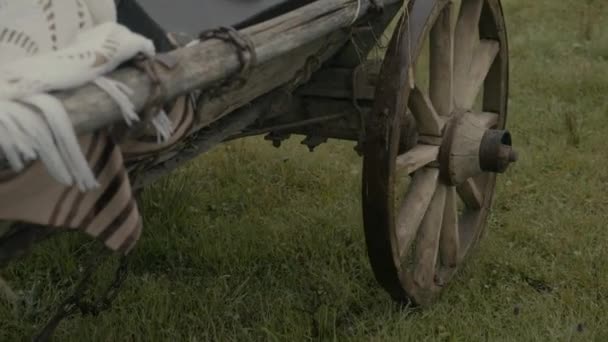 Stary zabytkowy rustykalny drewniany wózek ze stosem siana na zielonym polu łąki trawy przed jasnym błękitnym niebem w słoneczny dzień. Malowniczy krajobraz wiejski z wiekowym ranczem transportowym — Wideo stockowe