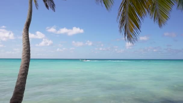 Красочный катамаран на лазурной воде против голубого неба и экзотических пальм, Карибские острова — стоковое видео