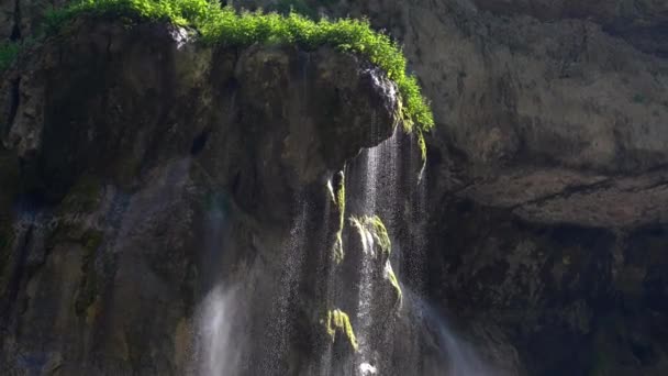 Parete di muschio verde in Islanda con goccioline d'acqua gocciolanti. Bellissimo sfondo tropicale alla cascata. Texture di muschio con sfondo sfocato — Video Stock