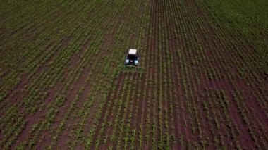 Gün batımında tarla traktörünün tarlaya püskürtücü, ot ilacı ve böcek ilacı sıktığı hava manzarası. Tarım makineleri yeşil alana böcek ilacı püskürtüyor, tarımsal doğal bahar işleri.