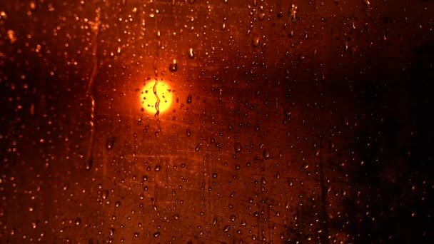 Gouttes d'eau suivant sur fond noir. Des gouttes de pluie coulent isolées. Les meilleures images 4K Droplets of Water on Black Glass descendent. Parfait pour la composition numérique. Lumière de couleur rouge sur — Video