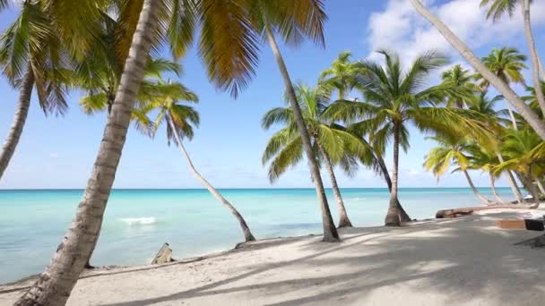 Необитаемый тропический остров с пальмами — стоковое видео