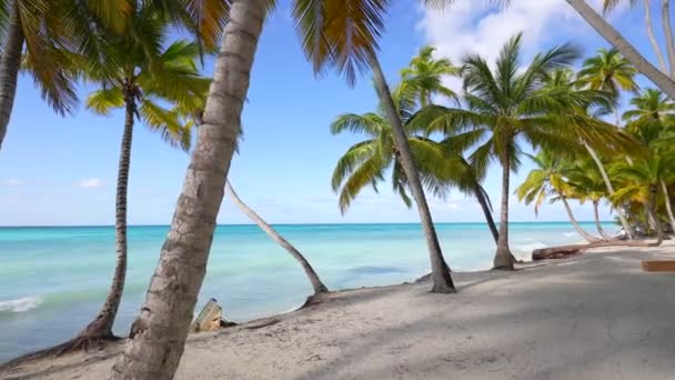パナマ、サンブラス島-カリブ海の緑のヤシの木でいっぱいのリモートトロピカルアイランドの完璧なホワイトサンドビーチのすぐ隣にあるターコイズブルーの水に停泊するセーリングヨットのショット. — ストック動画
