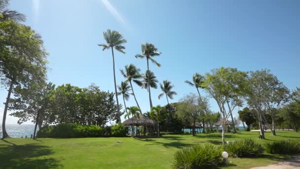 Lugar de lujo resort y spa para vacaciones. Paradise República Dominicana — Vídeos de Stock