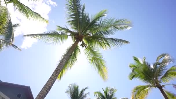 Strand van Anse Lazio bij Praslin, Seychellen — Stockvideo